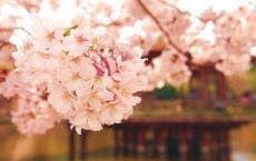 发生在前2个小时左右的鬼压床