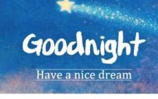 海燕之歌读后感