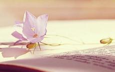 5个逆向思维小故事很短却改变了很多人