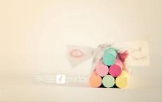 狼王梦读后感500字