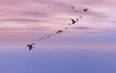 14个经典故事小品体悟生命智慧