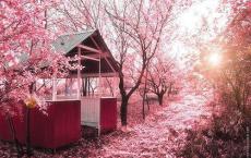 民国大学往事：九一八事变后东北大学在那几天经历了什么？