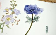 草船借箭读后感