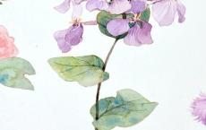 给女朋友讲又甜又撩的小故事