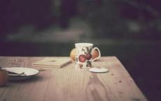 钱穆先生遗愿：如果人不能回去也要葬回故乡去