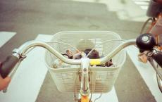 张宪光：“神偷”张爱玲