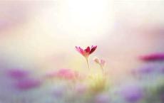 没人在意的爱情