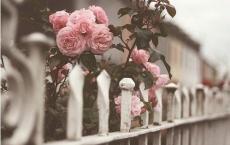 读一本好书读后感