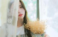 又是一年春来到