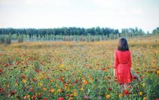 读老人与海有感