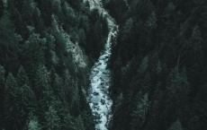 祖国在我心中读后感