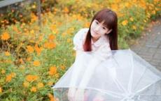 乔布斯传读后感