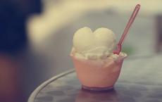 最后一头战象读后感