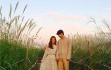 夏洛的网读后感