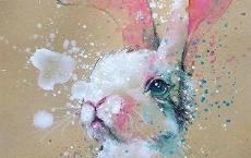 野性的呼唤读后感