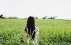 灿烂千阳读后感