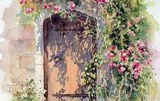 描写小动物的作文