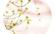 奥古斯丁 | 我一生与自己痛苦不堪地争斗