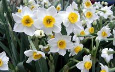 鲁迅先生 经历太多失望之后的孤独与温柔