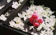 雾都孤儿英文读后感