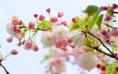 王海椿：村妇是个哲学家