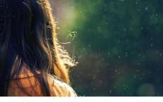 水浒传读后感800字