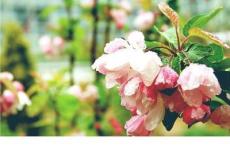 身边那些有特点的人