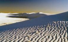 看不完一场电影，找不到一个人