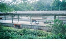 余秀华：在诗歌里爱着痛着追逐着喜悦着