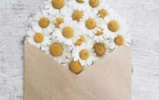 被走红的杜甫：千秋万岁名寂寞身后事