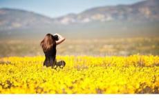 钢铁是怎么炼成的读后感