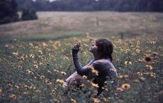 傅雷家书读书笔记