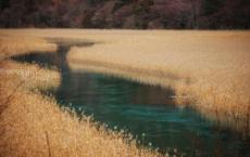 所有西方法律只不过是卡夫卡的注脚