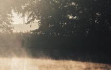 你不走，他怎么来