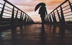 尼尔斯骑鹅旅行记读后感