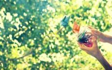 彭江红：风波（小小说）