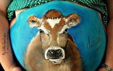 小学语文教师读书笔记