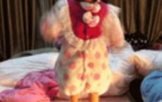 傲慢与偏见读后感