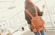 一季落花，弄疼了谁的思念