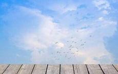 难忘那年卖冻柿子