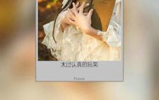宠移新爱夺，泪落故情留全诗的意思_上句下句