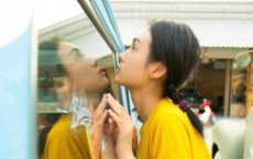 红粉楼中应计日，燕支山下莫经年全诗的意思_上句下句