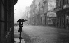 菊花飘香财富来