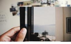 哨卡里的野菊花