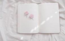 我邻村的一个小女孩给我讲述自己身边人经历的灵异故事