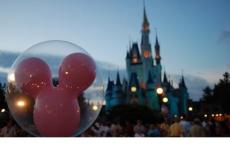 形容老实、踏实、实心眼的歇后语