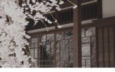 职场小故事工作大道理