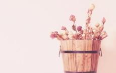 长篇情感电台读文