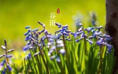 品茗香幽远 煮泉问尘世