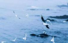 那年深秋叶正红